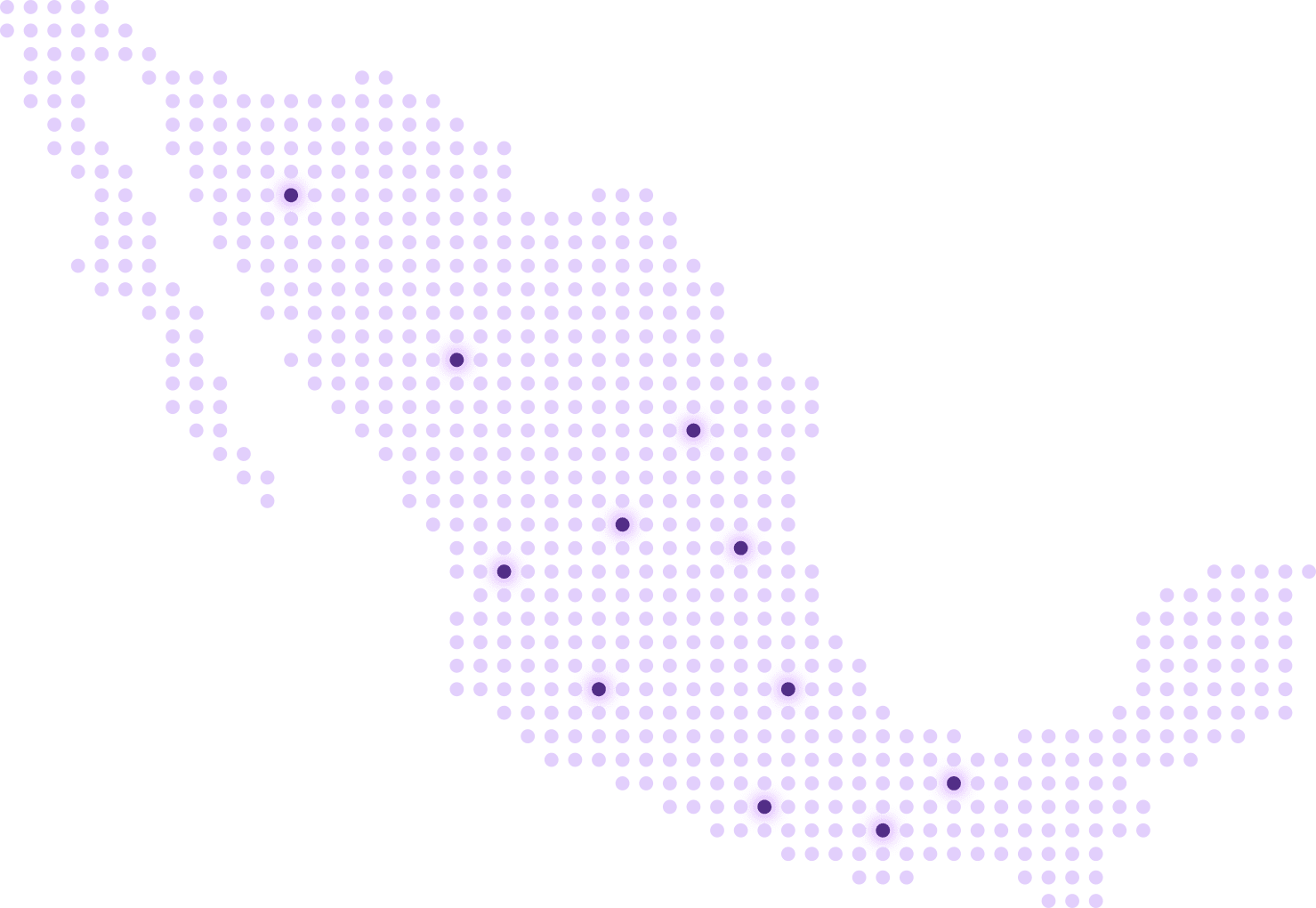 pilotea